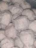 Bakso ikan Lamuru kenyal