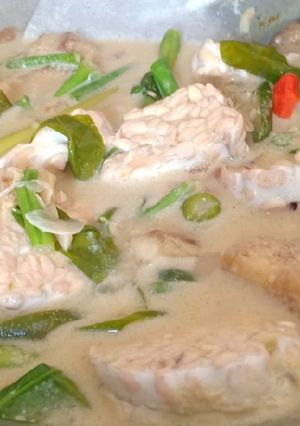 Foto resep Lodeh Tempe Cabe Ijo