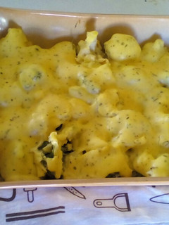 A picture of Broccoli and Cauliflower Bake with White Sauce Topping.