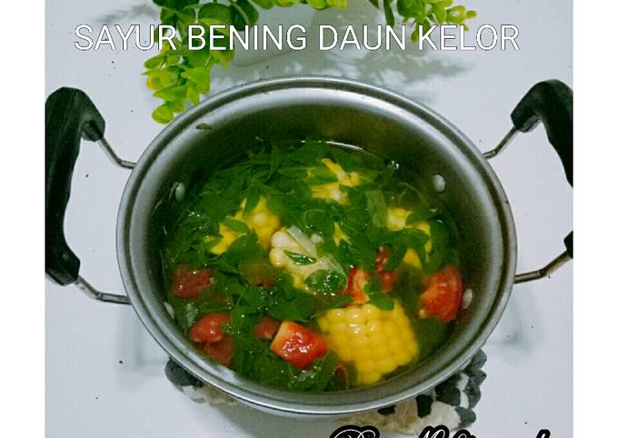 Resep Sayur Bening Daun Kelor Oleh Miftaandy Cookpad 0130