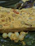 Brengkes telur ikan dukang