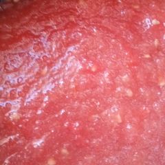 A picture of Tomato Salsita.