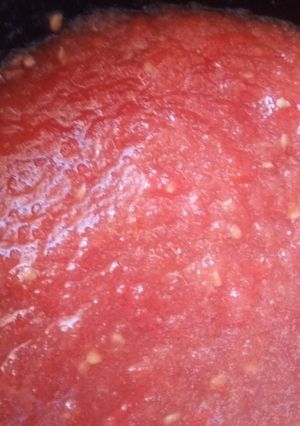 A picture of Tomato Salsita.