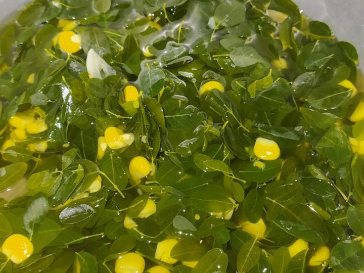 Cara Membuat Sayur bening daun kelor + jagung Untuk Pemula