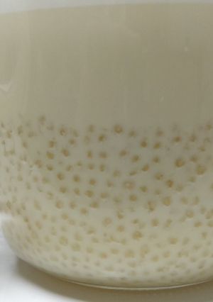 A picture of Vanilla Milkshake with Tapioca Pearls 🍺.