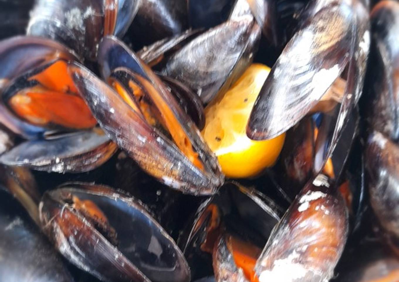 Mejillones en la barbacoa