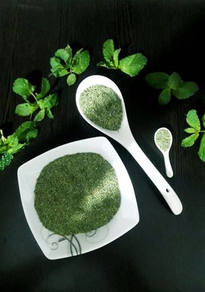عکسی از دستور نعنا خشک شده