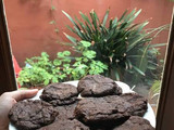 Cookies con Cacao
