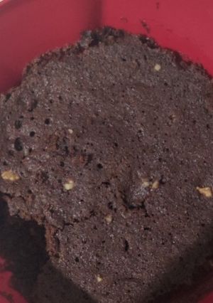 A picture of Brownie.