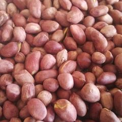 A picture of Baked ground nuts.