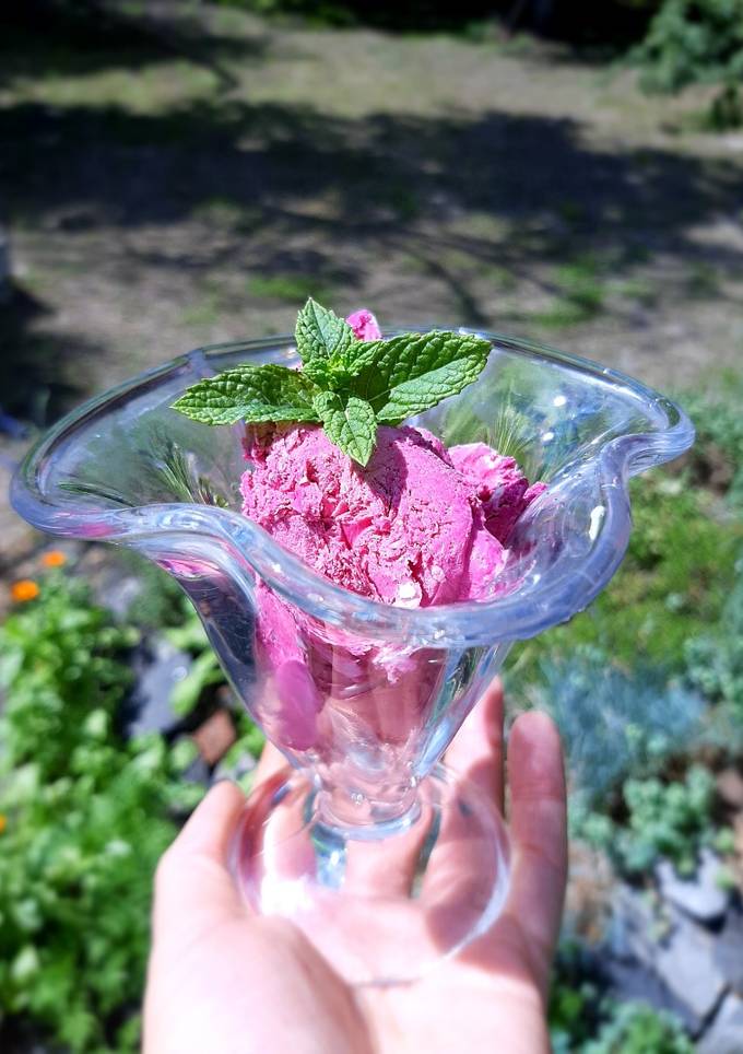 Морозиво зі смородини