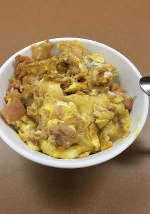 A picture of Oyakodon! (Paternity Bowl because an egg comes out from a chicken, or a chicken comes out from an egg).
