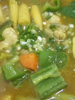 日式野菜嫩雞湯咖哩 的食譜成品照片