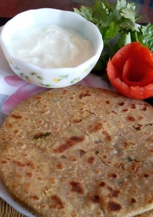 A picture of Sattu paratha.