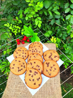 A picture of Chocolate chip cookies.
