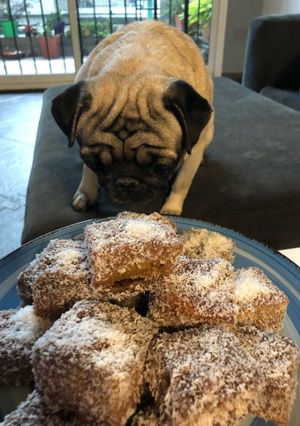 Una foto de Lamingtons