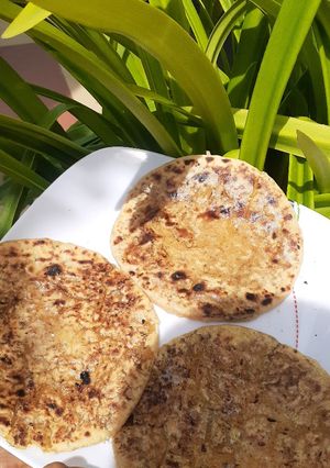 પુરણ પોળી/વેઢમી (Vedhmi Recipe In Gujarati) રેસીપી મુખ્ય ફોટો