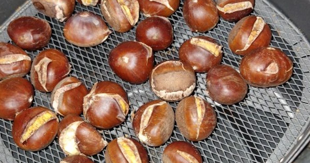 🌰 Tout savoir sur les châtaignes : préparation, cuisson et idées recettes