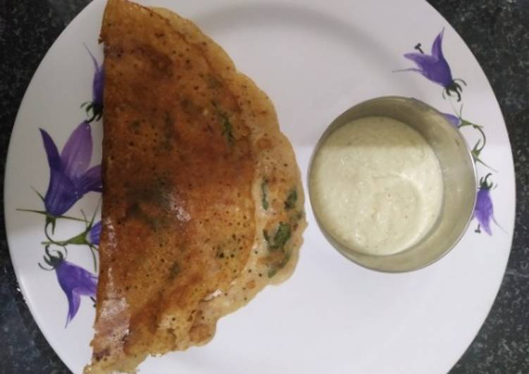 Recipe of Perfect Protein Rich Adai Dosa For Breakfast / Dinner
