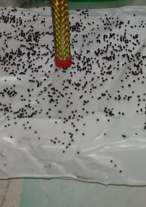 Una foto de Torta de cumpleaños
