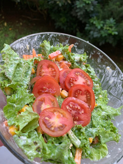 Foto resep Vegetables Cheese Salad