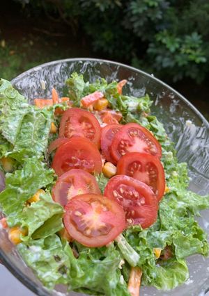 Foto resep Vegetables Cheese Salad