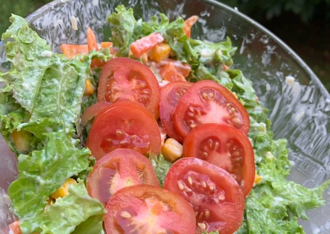 Vegetables Cheese Salad