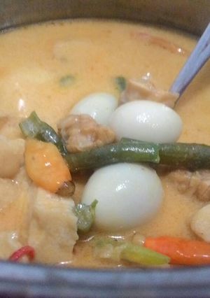 Foto resep Telor puyuh tahu tempe mandi santan