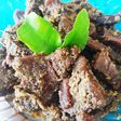 Lapis Daging