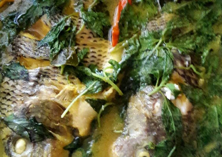 Ikan nila masak kuning kemangi ala yong' s kitchen