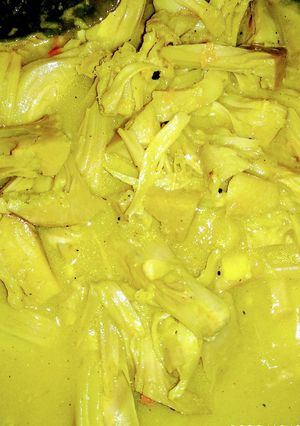 Foto resep Sayur lodeh gori