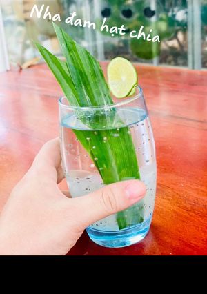 Hình của món Nước nha đam hạt chia đường phèn.