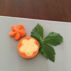 A picture of 3D carrot flower(Nejiri ume).