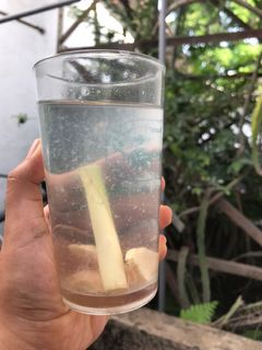 Foto resep Minuman ultimate sederhana