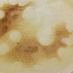 Fluffy's nutella crepes - warning you may like them too much 😂 A picture of Fluffy's nutella crepes - warning you may like them too much 😂.
