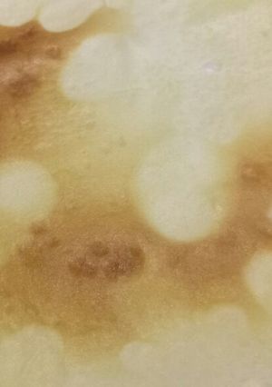 A picture of Fluffy's nutella crepes - warning you may like them too much 😂.