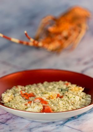 Foto di Risotto con Aragasta e Carpaccio di Salmone Selvaggio