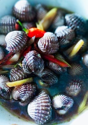 Foto resep Kerang rebus