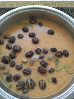 Una foto de Caracoles en salsa