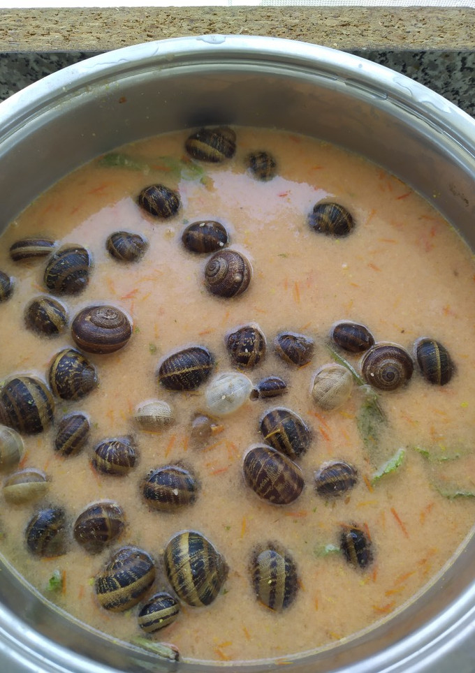 Una foto de Caracoles en salsa