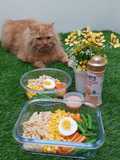 Salad 02: Thousand Island Dressing/Pizza Hut Salad