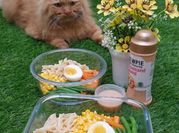 Gambar italian salad dressing