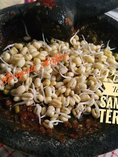 Foto resep Pecak Tauge Sambal Terasi (dan cara bikin tauge)