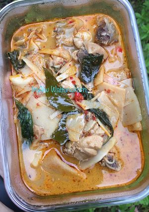 รูปของ “แกงไก่หน่อไม้ดอง”