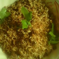 A picture of Powder milk coconut flakes.