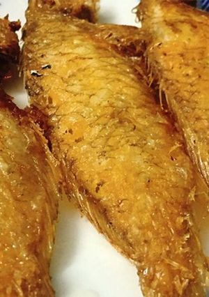 Hình của món Cá mó chiên muối tôm (NCKD).