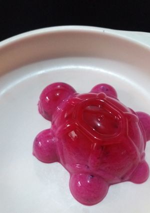 Foto resep MPASI SNACK : PUDING NAGA SUSU 8M+