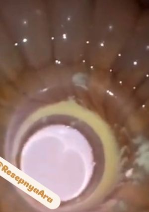 Foto resep Puding Regal 3 Lapis