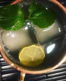 Gin especiado