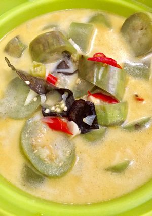 Foto resep Sayur terong hijau santan